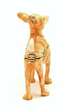 Mini Chihuahua Dog Trinket Box Made with Austrian Crystals