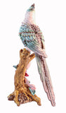 Big Cockatoo Trinket Box. Beautifully Made with Austrian Crystals.