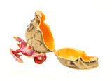 Dragon On Skull Trinket Box. Hand Detailed with Austrian Crystals