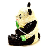 Panda with Bamboo Trinket Box. Collectable Item Made with Austrian Crystals