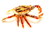 Seaside Crab Trinket Box. Brown Enamel with Austrian Crystals