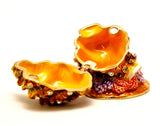 Coral Conch Shell Trinket Box. Very Detailed with Austrian Crystals