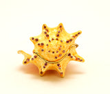 Beautiful Conch Shell Trinket Box Made with Austrian Crystals