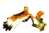 Big Flying Eagle Trinket Box with Austrian Crystals & Enamel