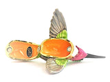 Small Humming Bird Trinket Box