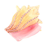 Beautiful Conch Shell Trinket Box Made with Austrian Crystals